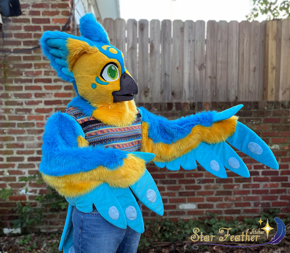 Shoreline the bird (Star Feather Original)