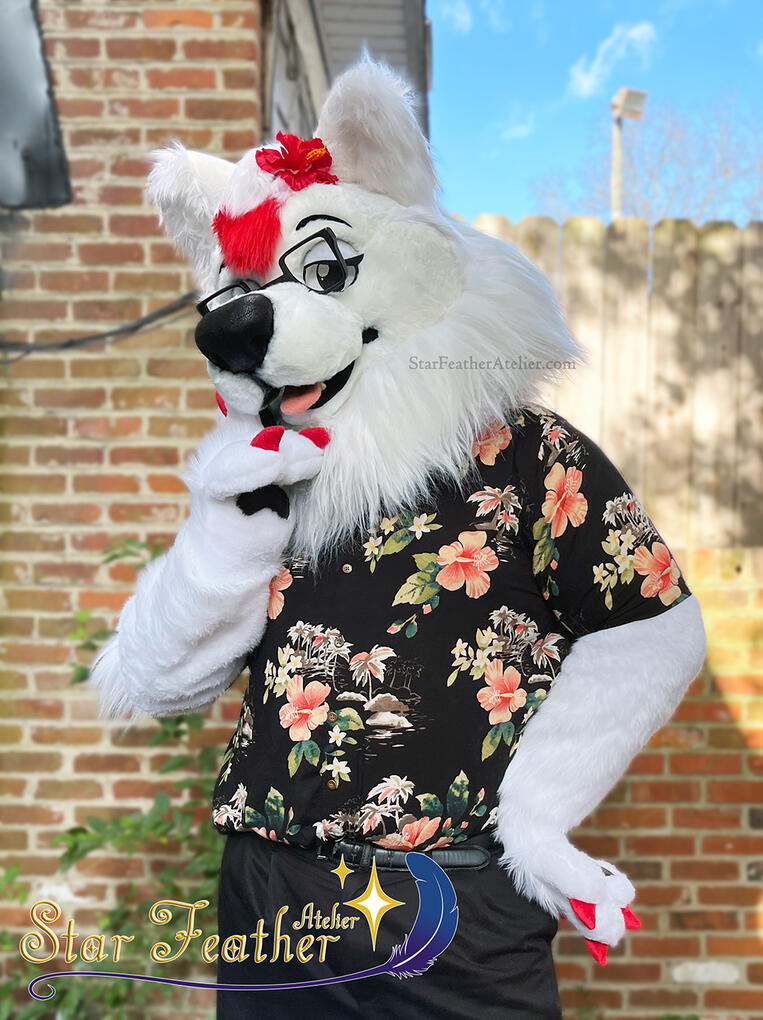 Maxi the samoyed (Commission)