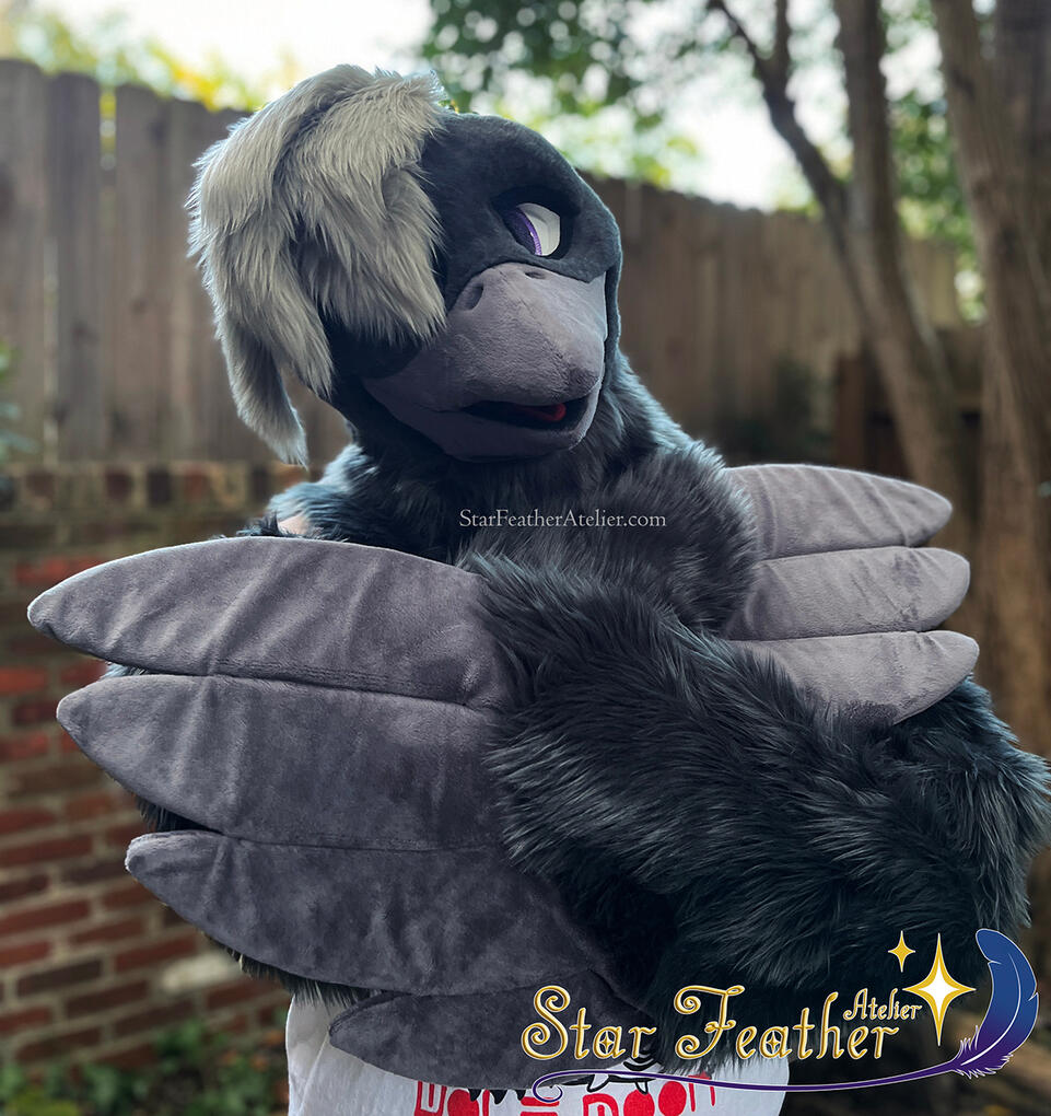 Shyr the raven (commission)