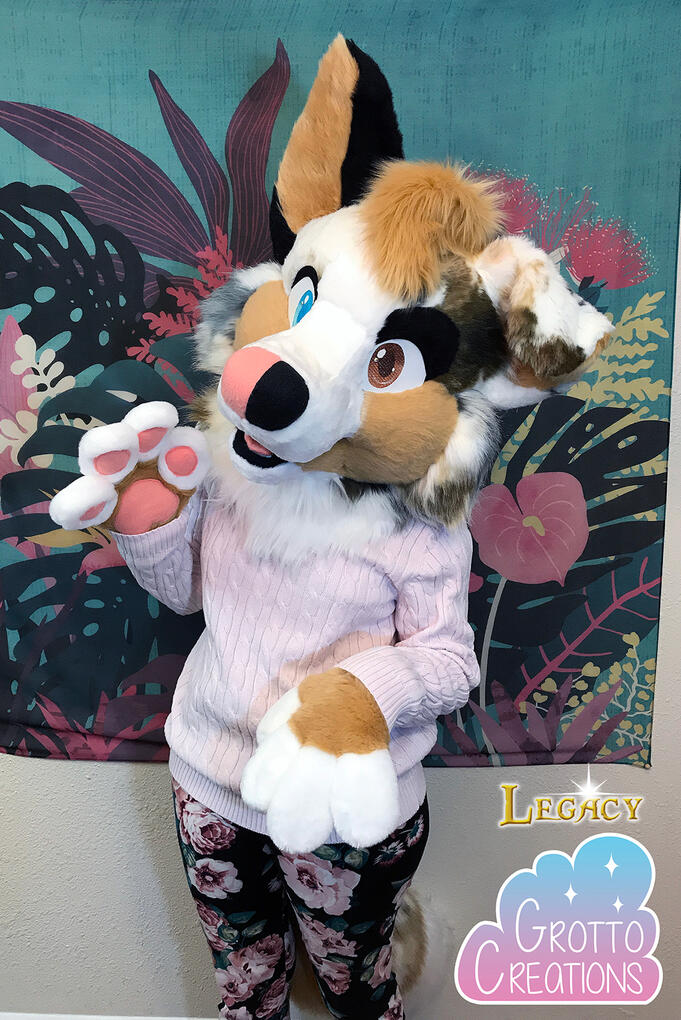 Pearl the collie (Star Feather Original)