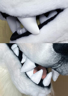 Plush teeth sets, $50 - Typically made from neoprene